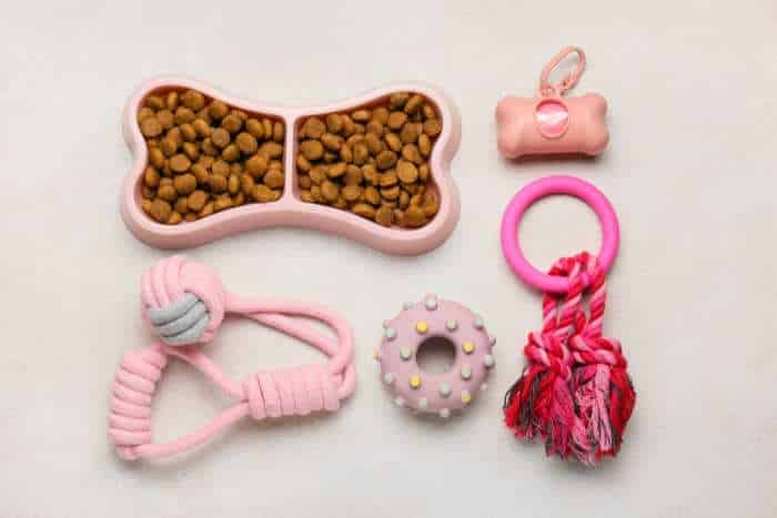 immagine di accessori per animali