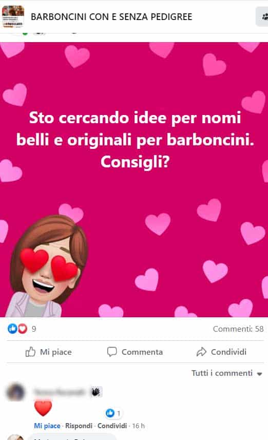 Nomi per Barboncino