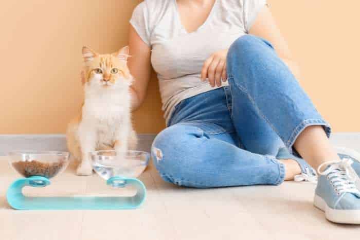 Foto di donna cat sitter e gatto