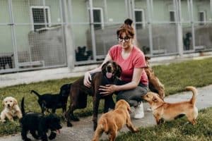 Donna che lavora in un centro di adozione cani